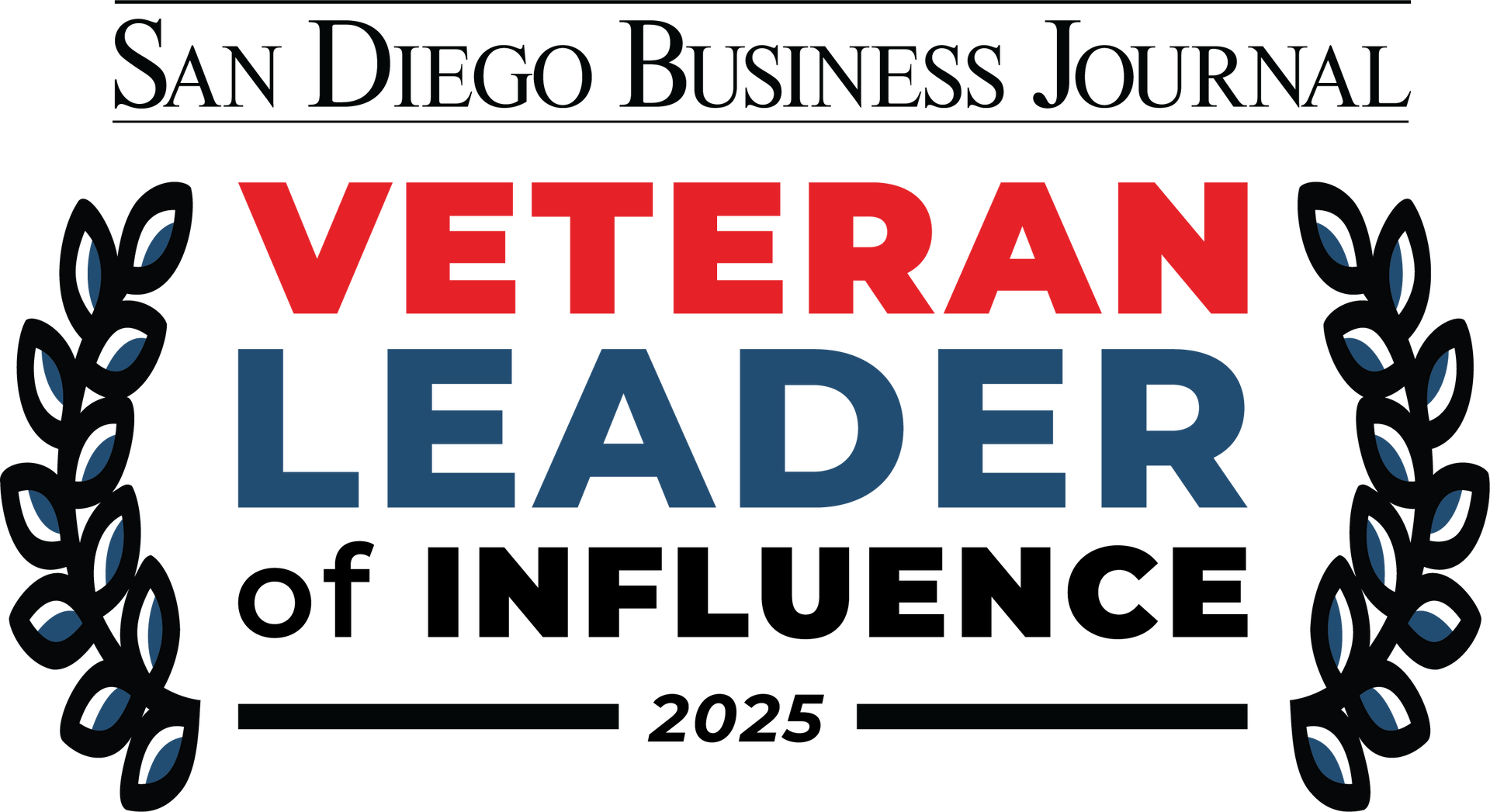 A logo for naifa leaders with a blue pyramid and stars