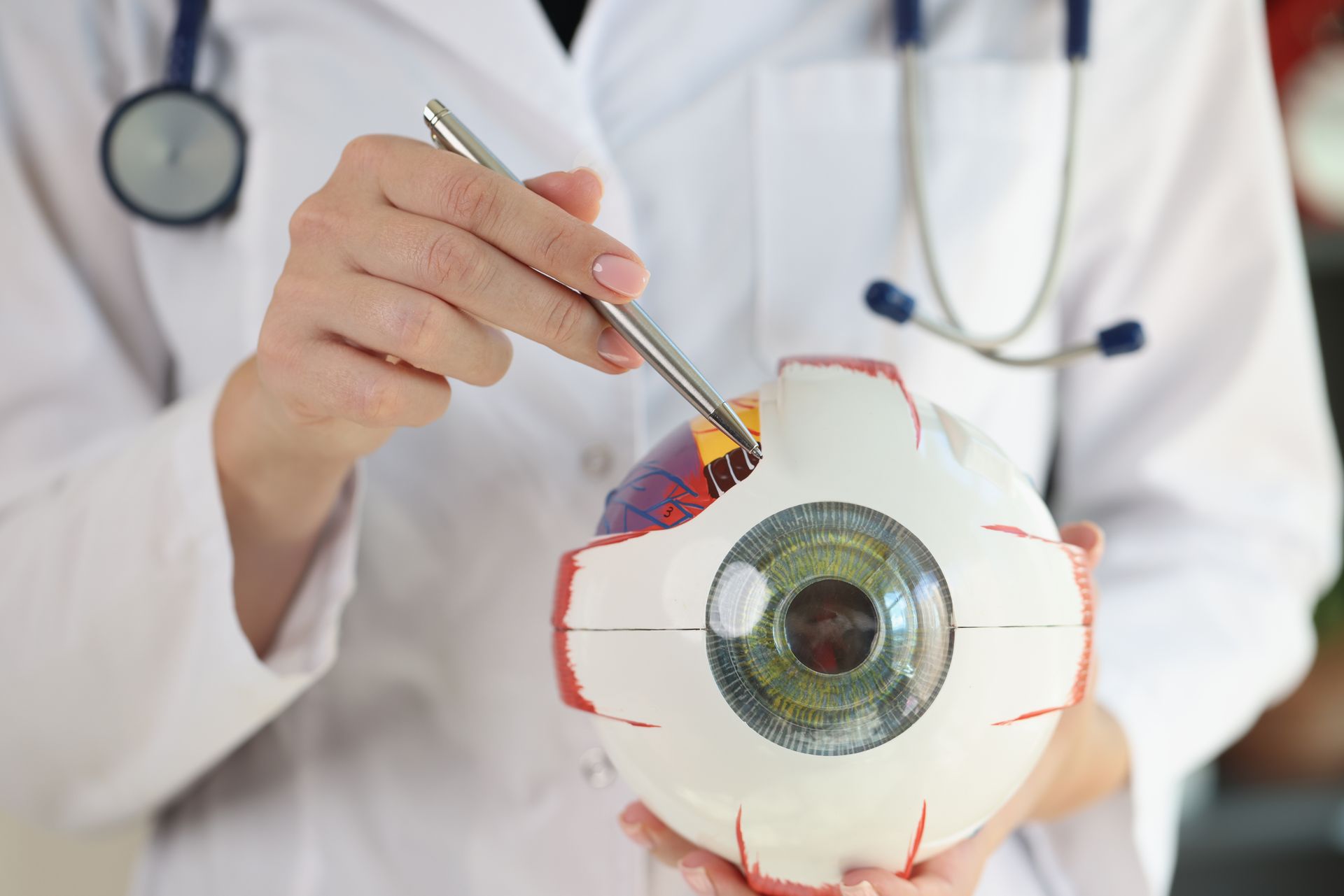 Doctor pointing to a model eye with a pen. Stethoscope around neck, white lab coat.