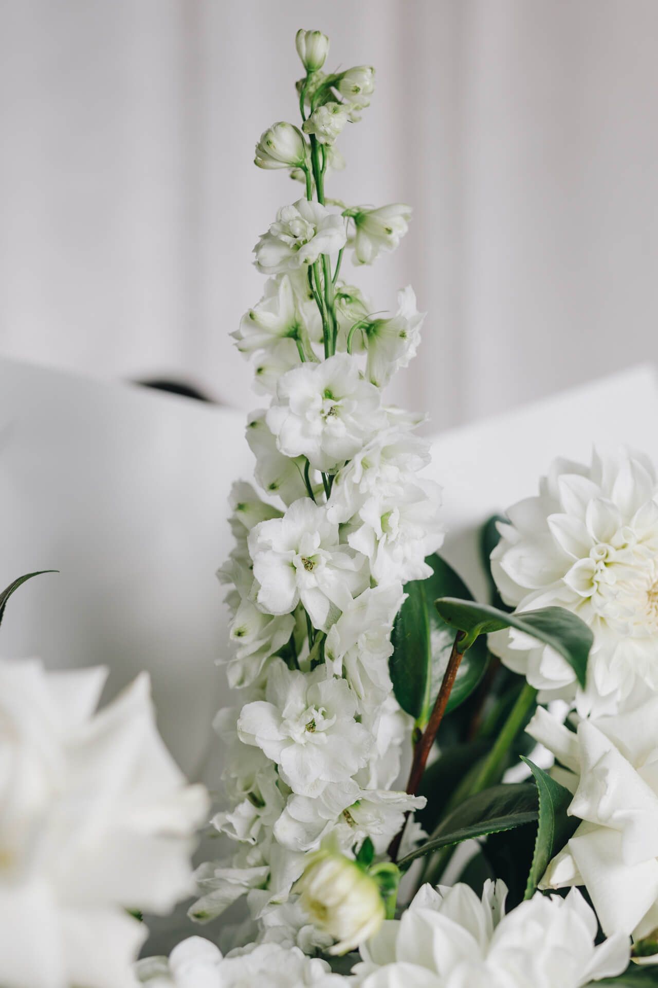 Pink vase filled with white flowers — Funeral Flowers in Wollongong, NSW