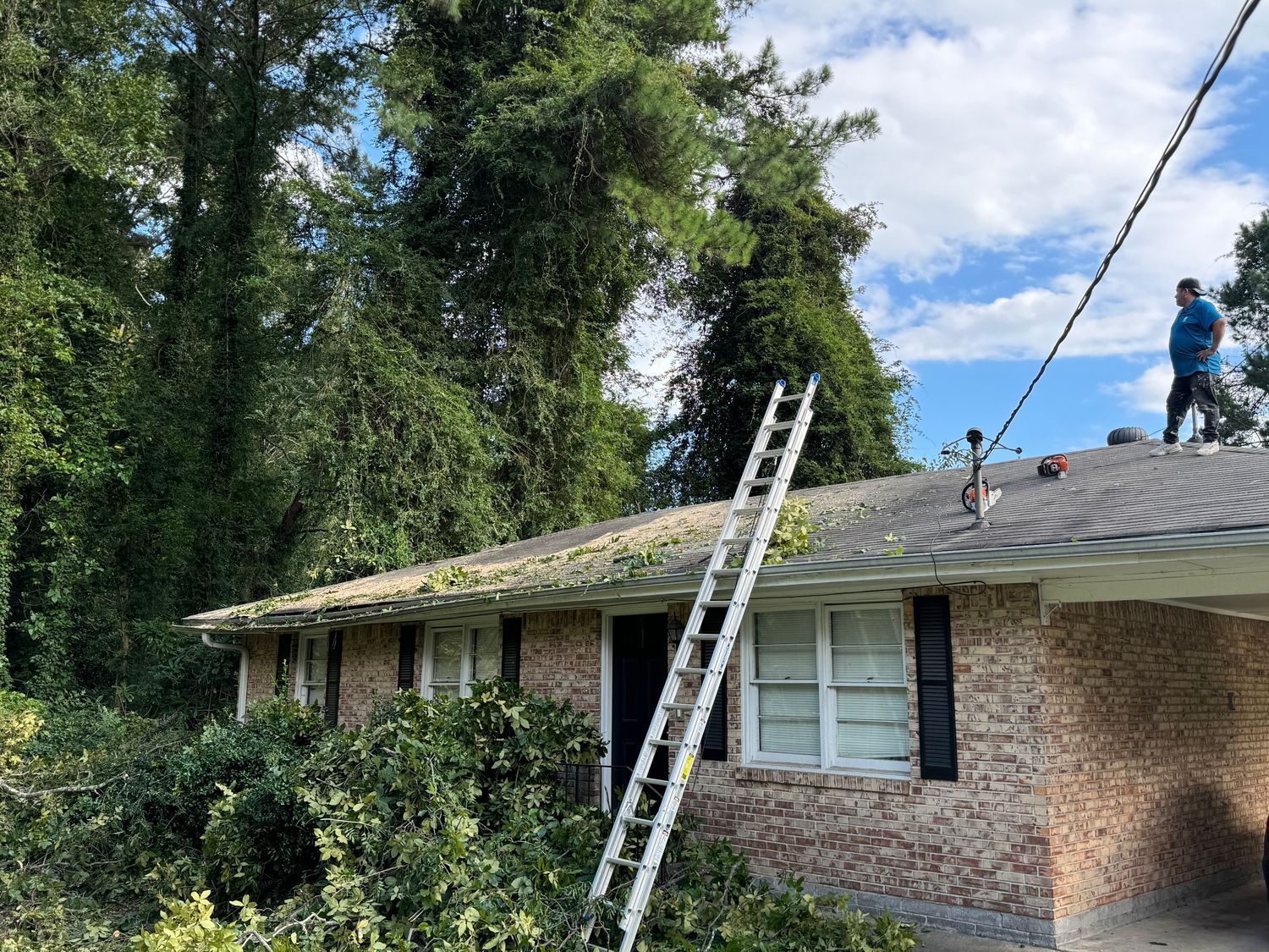 Man on roof, ladder propped against house with overgrown vegetation, tree-lined background.