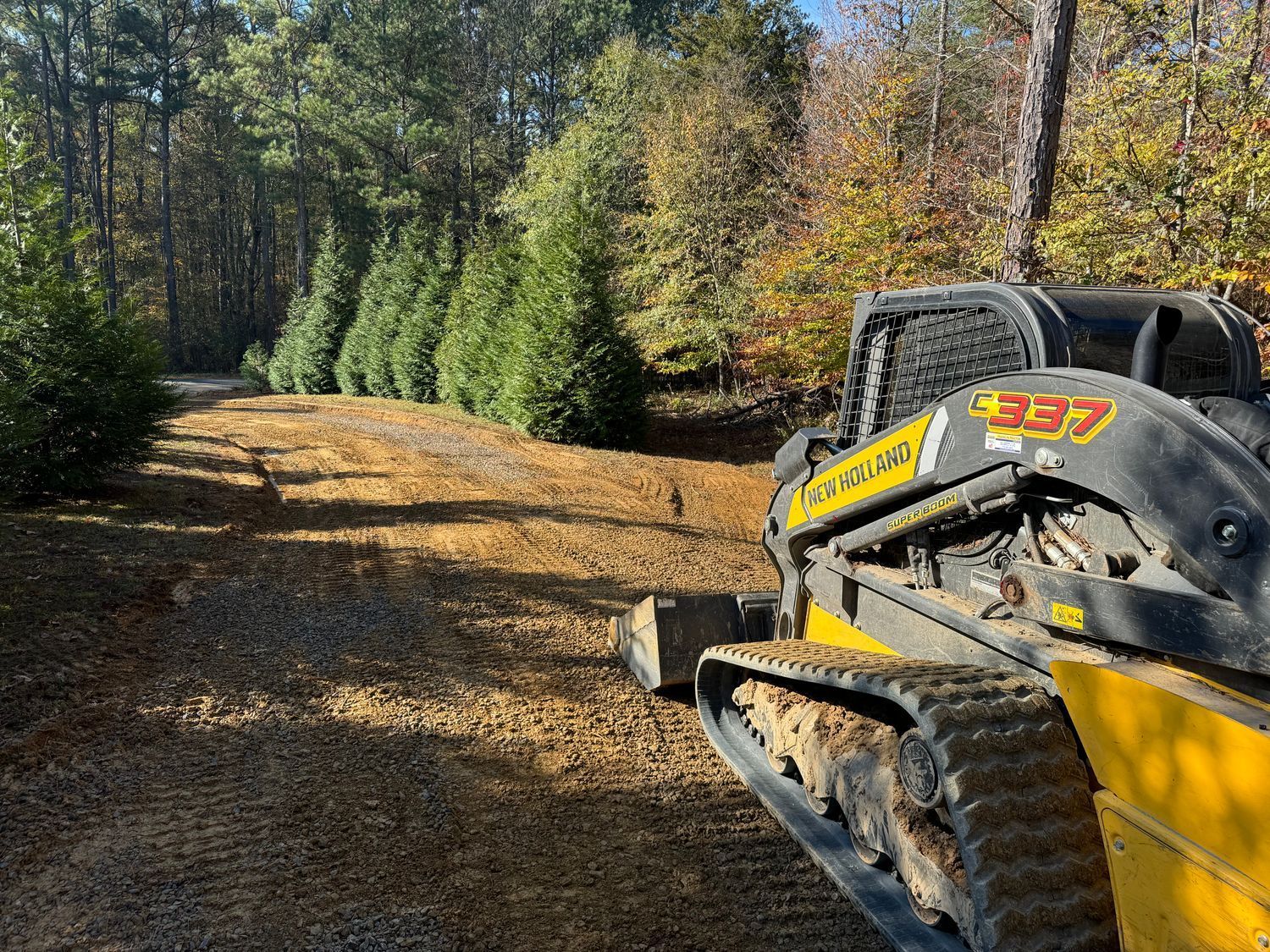 Yellow skid steer on gravel path next to row of evergreen trees in wooded area.