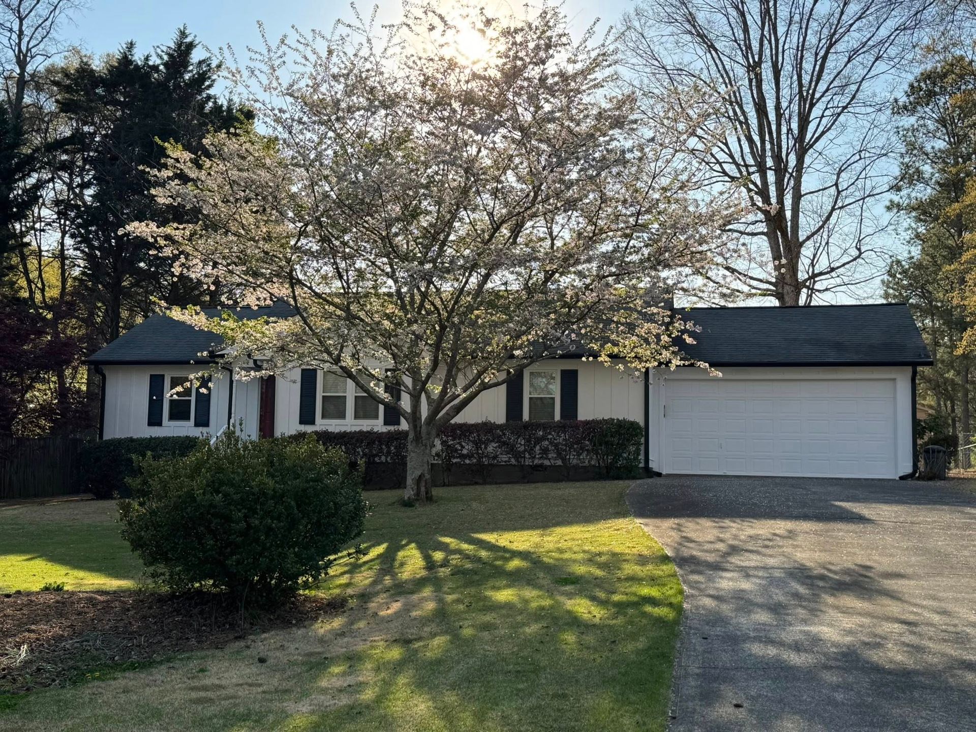 White house with a blooming tree in front; sunny day. Garage to the right, grass and driveway in view.