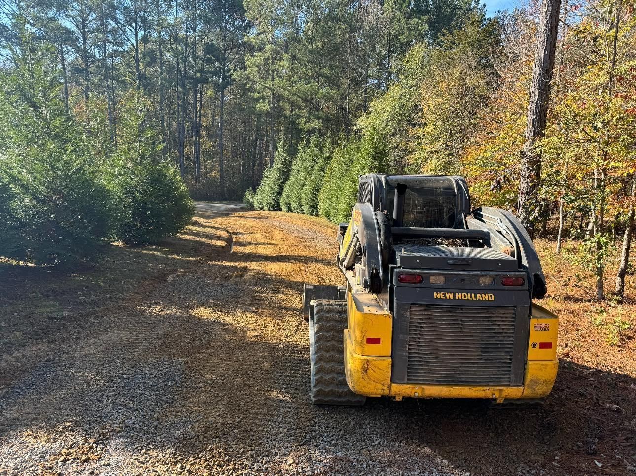 Yellow skid-steer loader on gravel driveway, clearing a path near evergreen trees in a wooded area.
