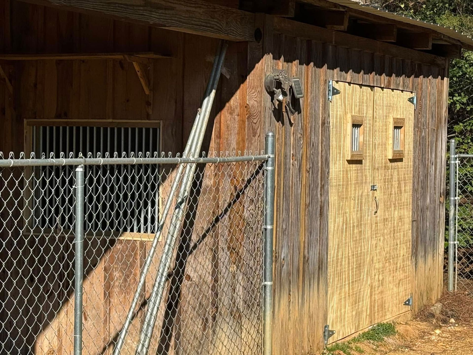 Wooden shed with barred window and door. Chain-link fence in front, metal rods leaning against the shed.