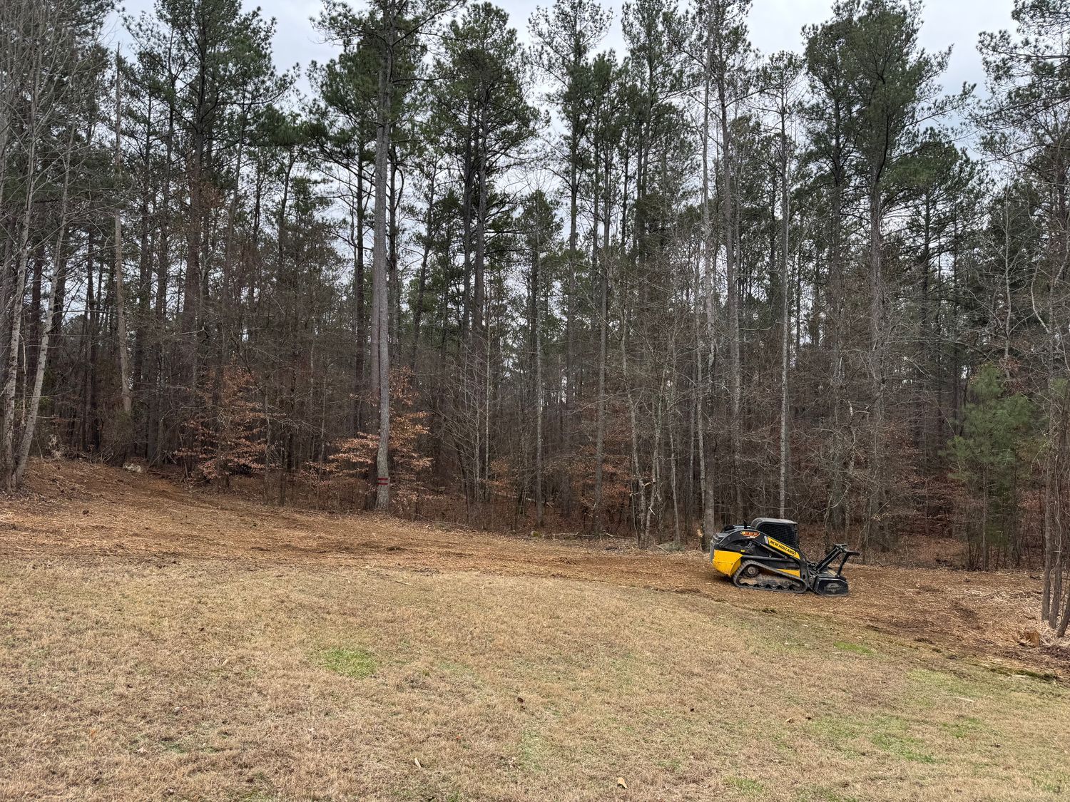 Clearing machine on a brown hillside clearing brush. Tall trees form a backdrop under an overcast sky.