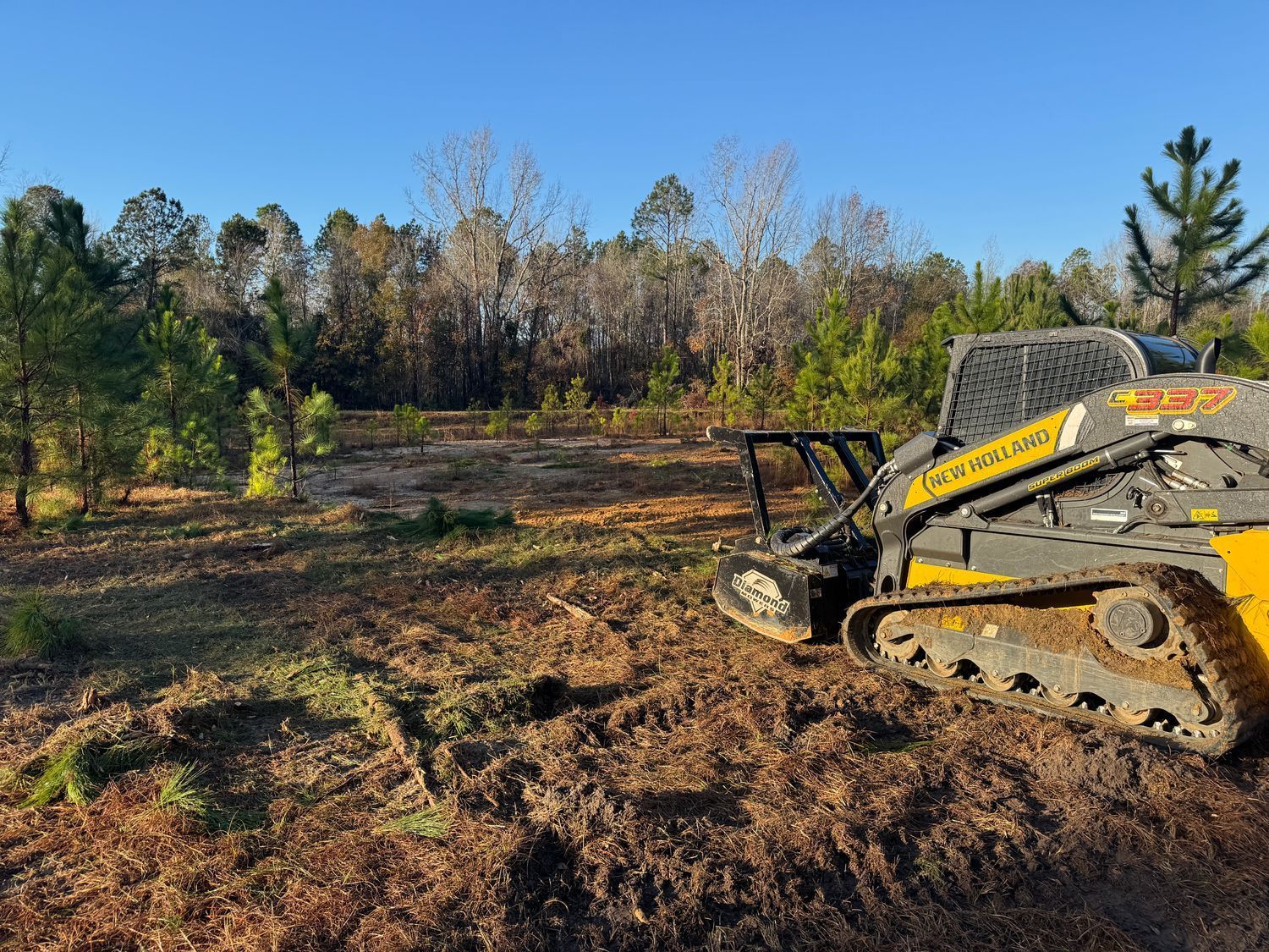 A yellow and black skid steer clearing land with trees in the background under a blue sky.