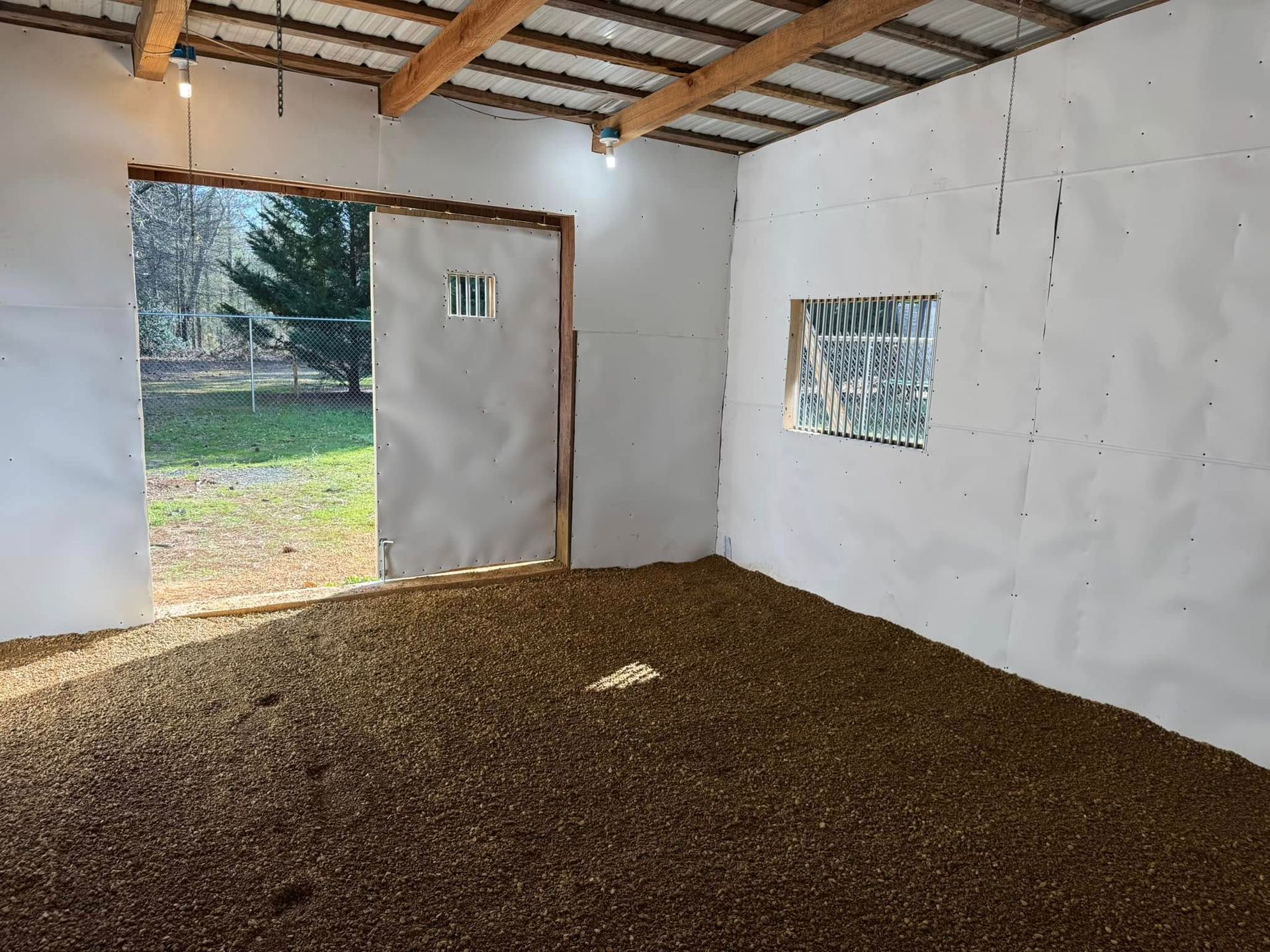 Inside a barn with white walls, open doorway, and a window; floor is covered in wood chips.