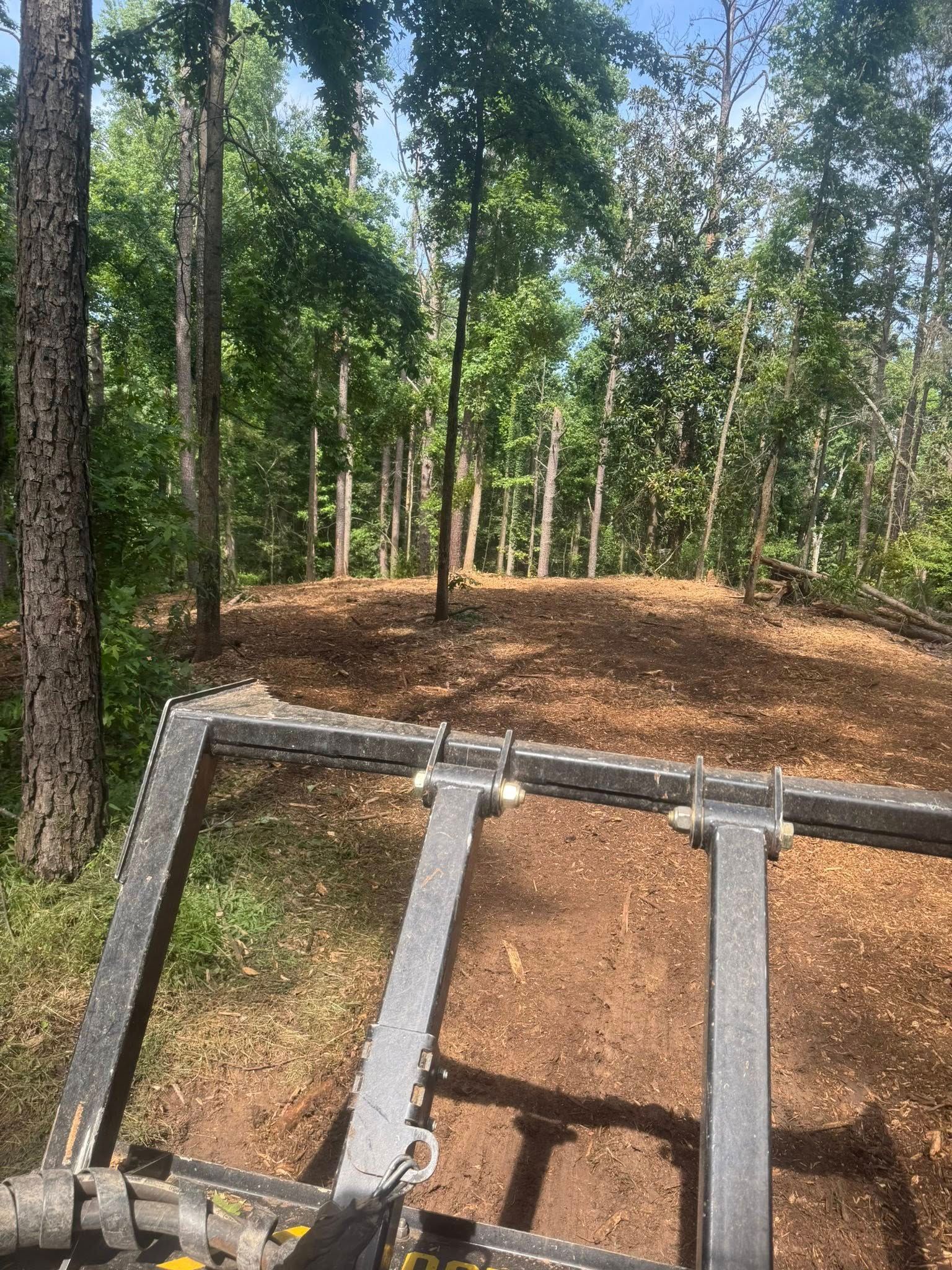 Brown mulch covers a cleared area in a forest, viewed from a piece of machinery.