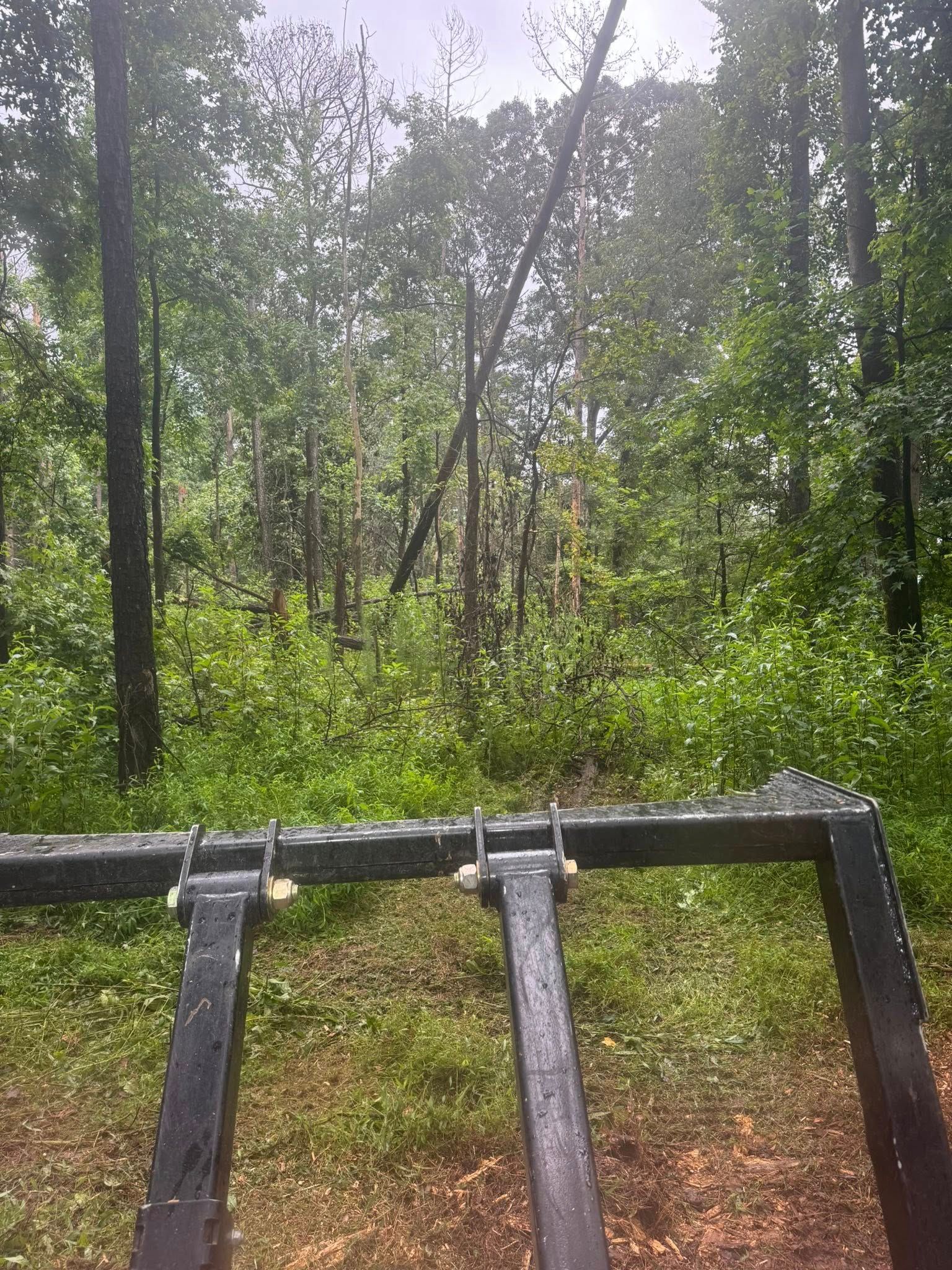 View from a dark metal tractor implement towards a clearing in the woods.