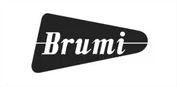 logo brumi