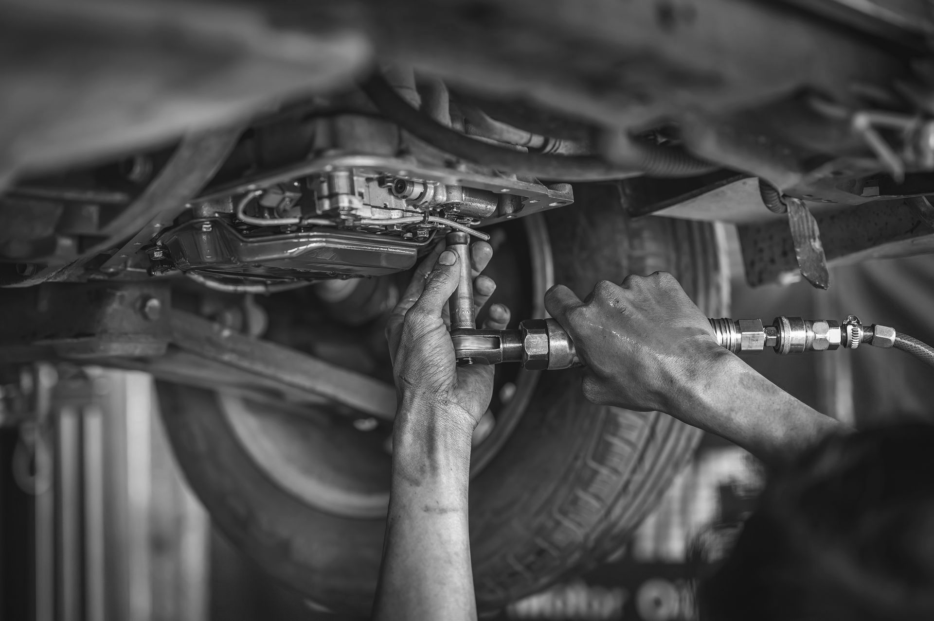 Diamond Valley Auto Repair and Smog, business photo 2