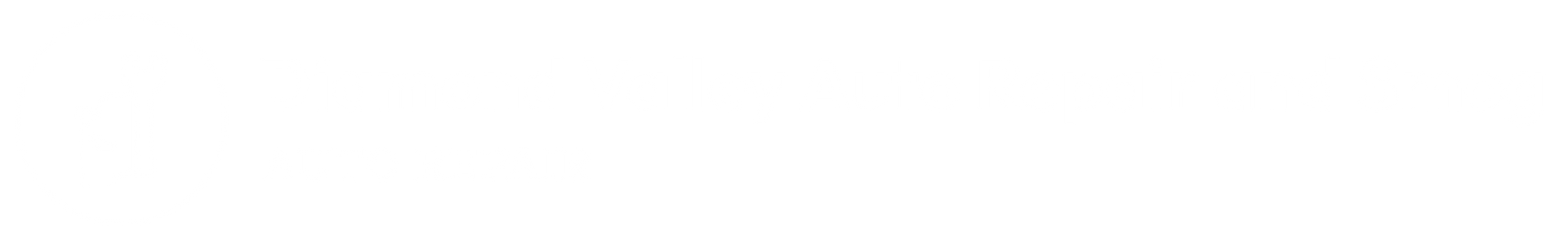 Logo of Diamond Valley Auto Repair and Smog White