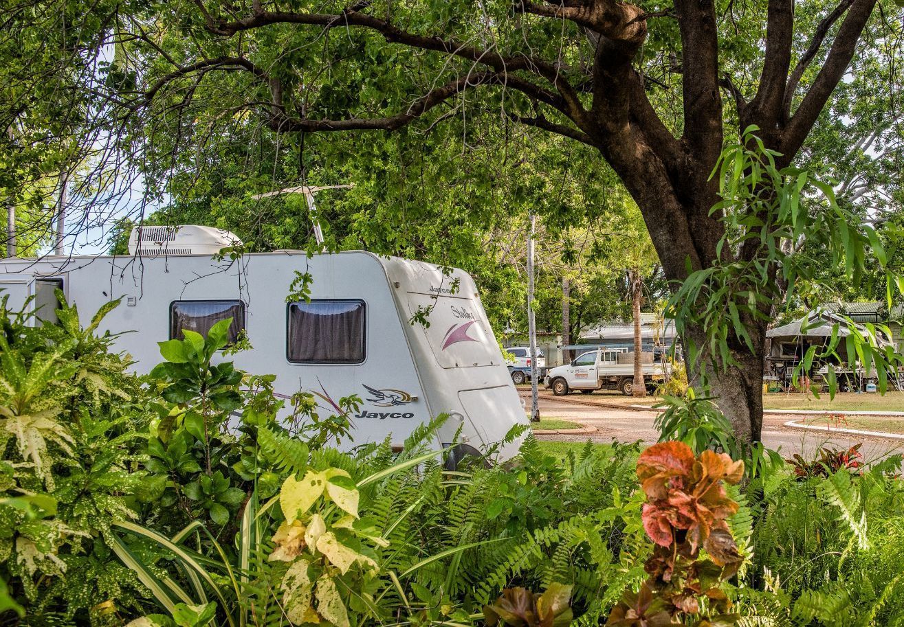 A white rv is parked under a tree in a park.