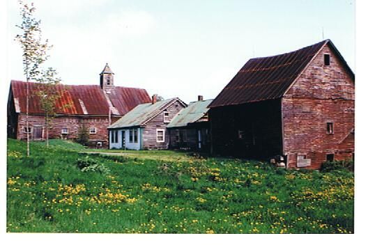 View of Richardson Farm in the summer.