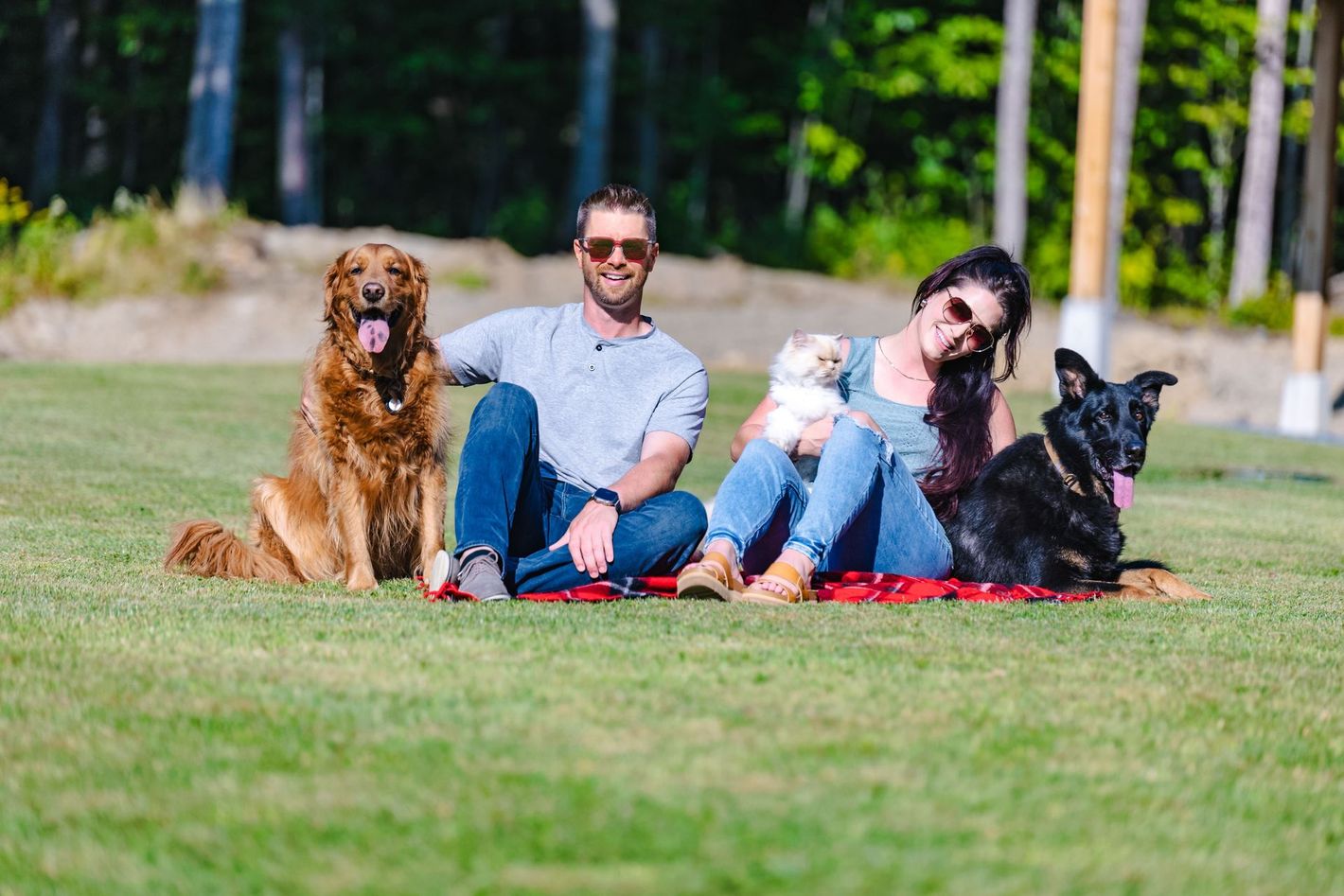 A man sits beside a woman holding a cat on a blanket in the grass with their dogs.