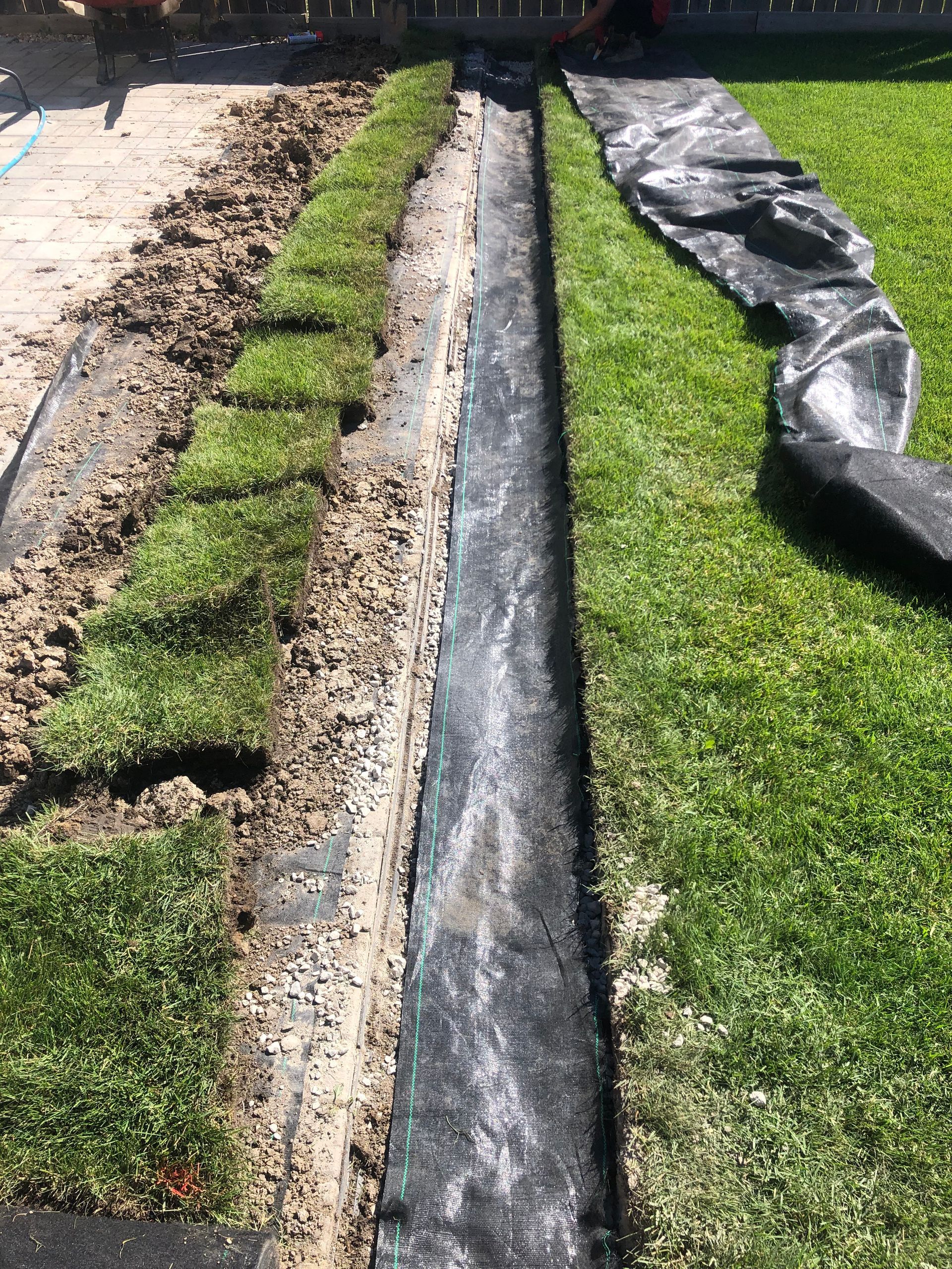 A hose is being used to drain water from a lawn.