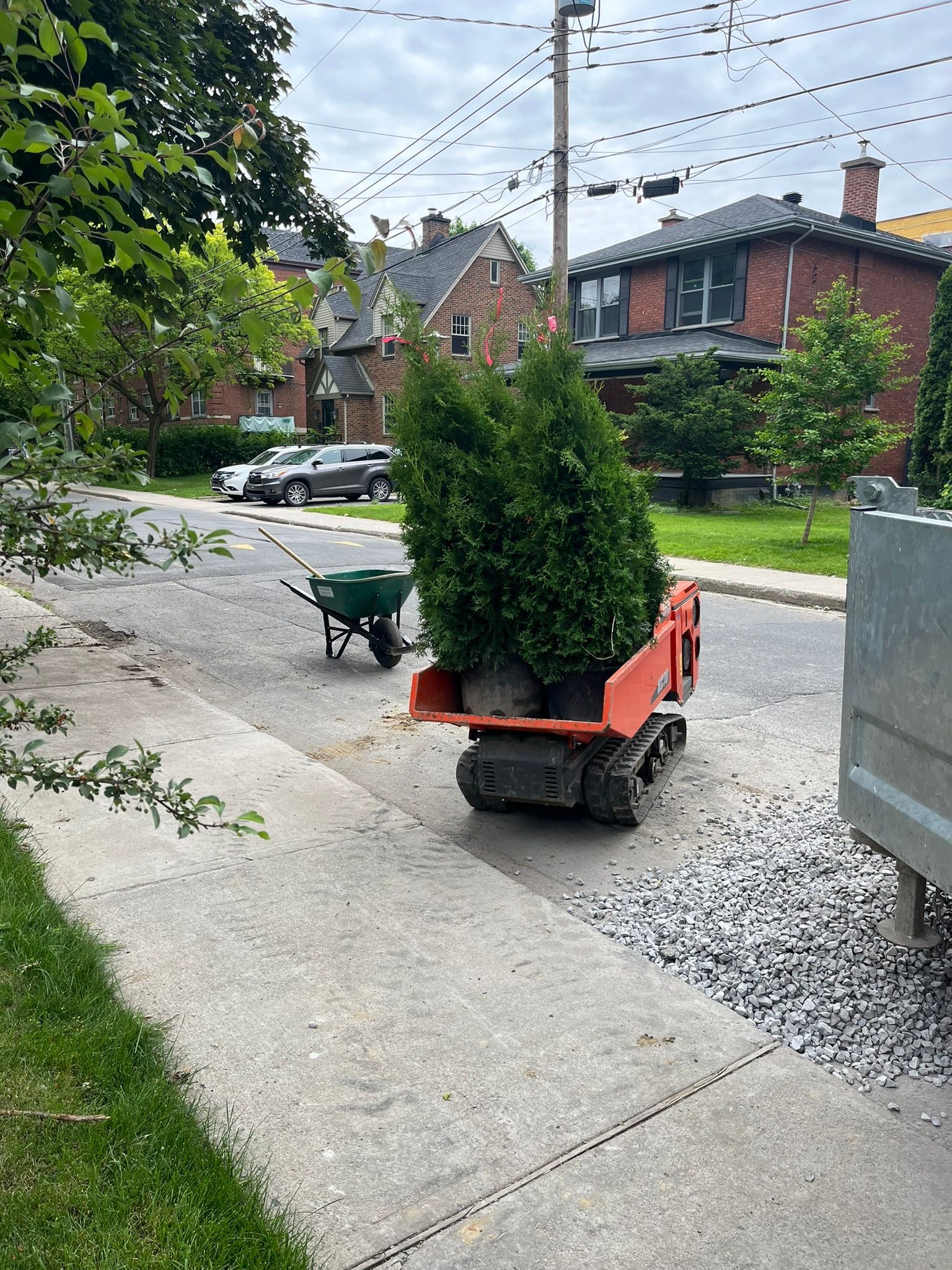 A cart filled with potted plants is driving down a sidewalk next to a wheelbarrow.