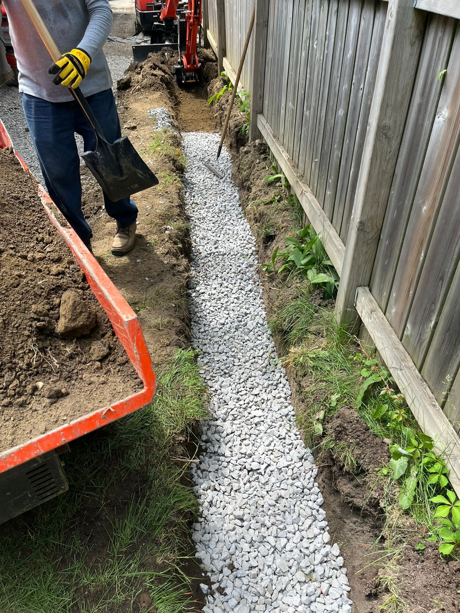 Drainage for Cedar Shrubs Planting 