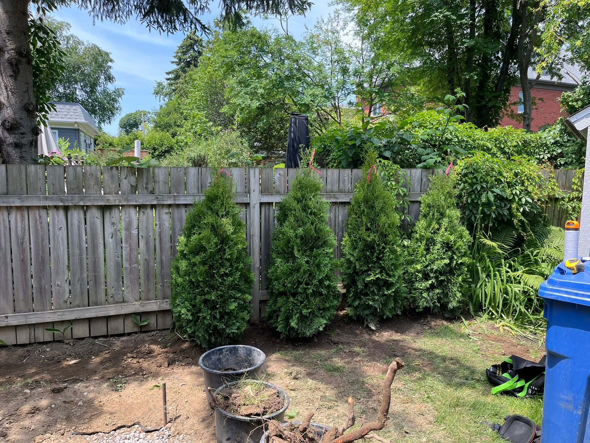 A wooden fence is surrounded by trees and bushes in a backyard.