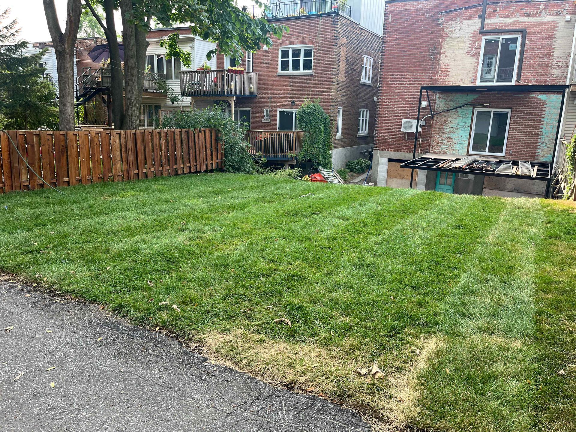 A lush green yard with a wooden fence and a brick building in the background.