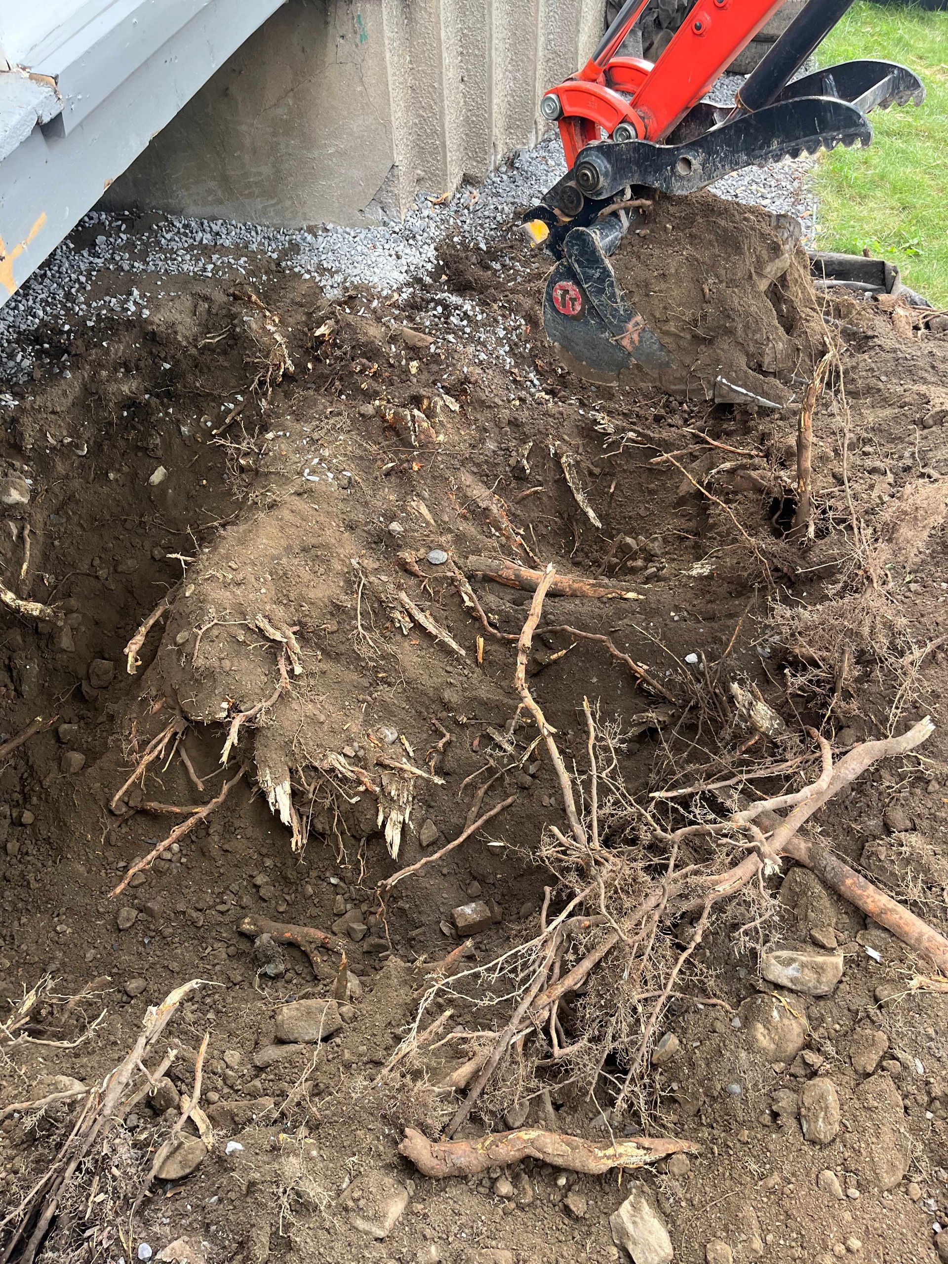 A person is digging a hole in the ground with a shovel.