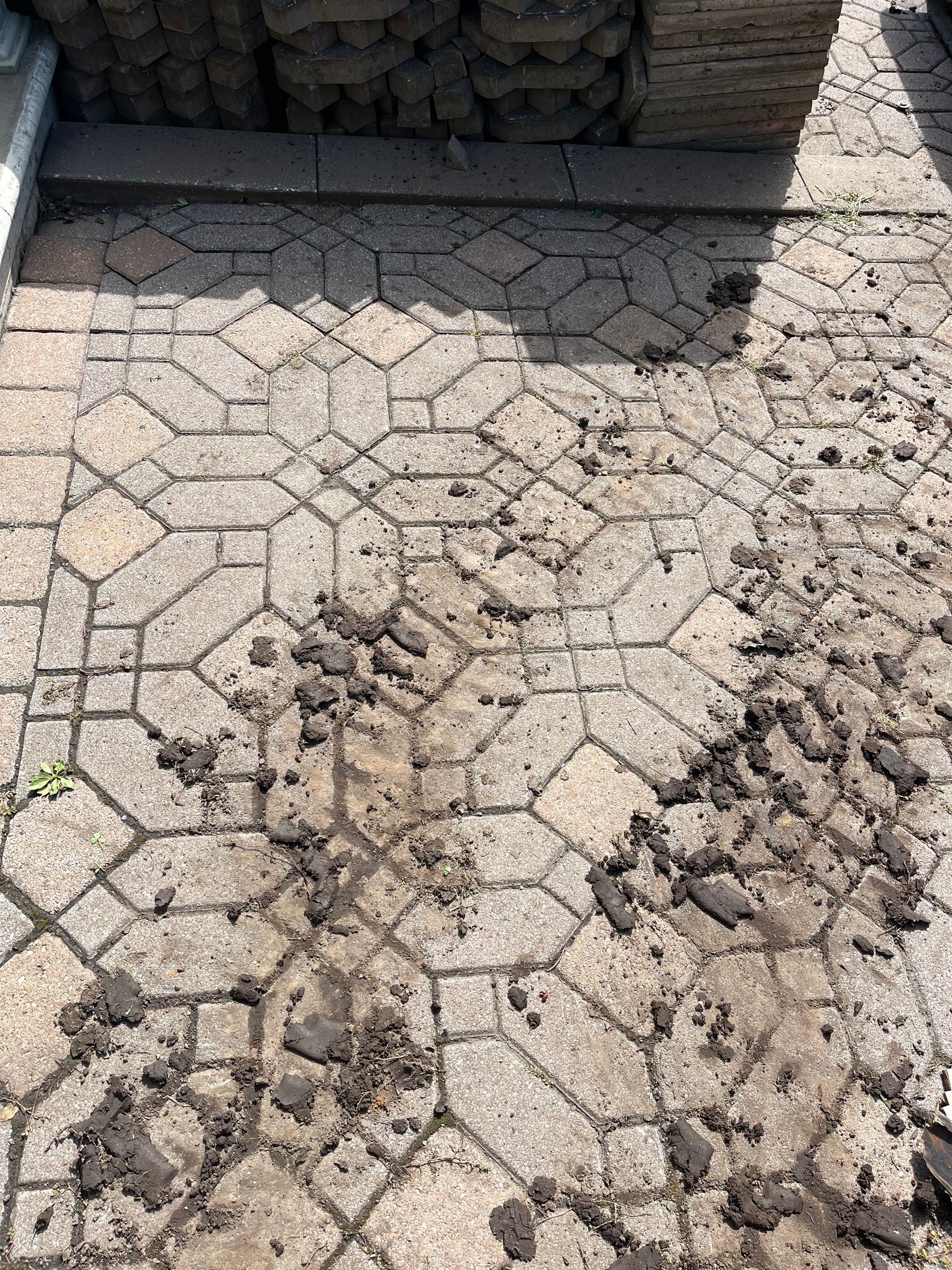 A brick walkway with a lot of dirt on it.