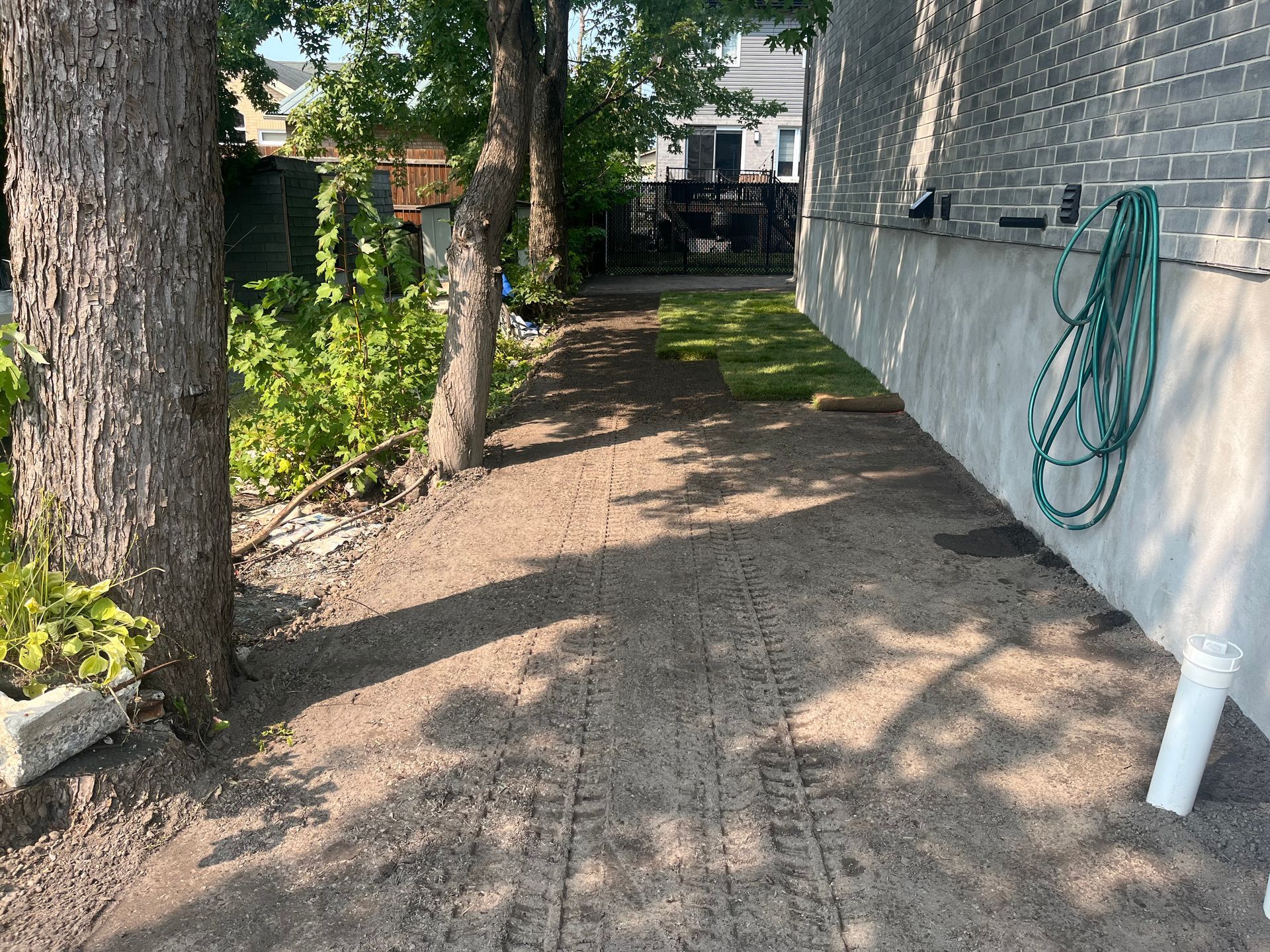 A hose is hanging on the side of a building next to a tree.