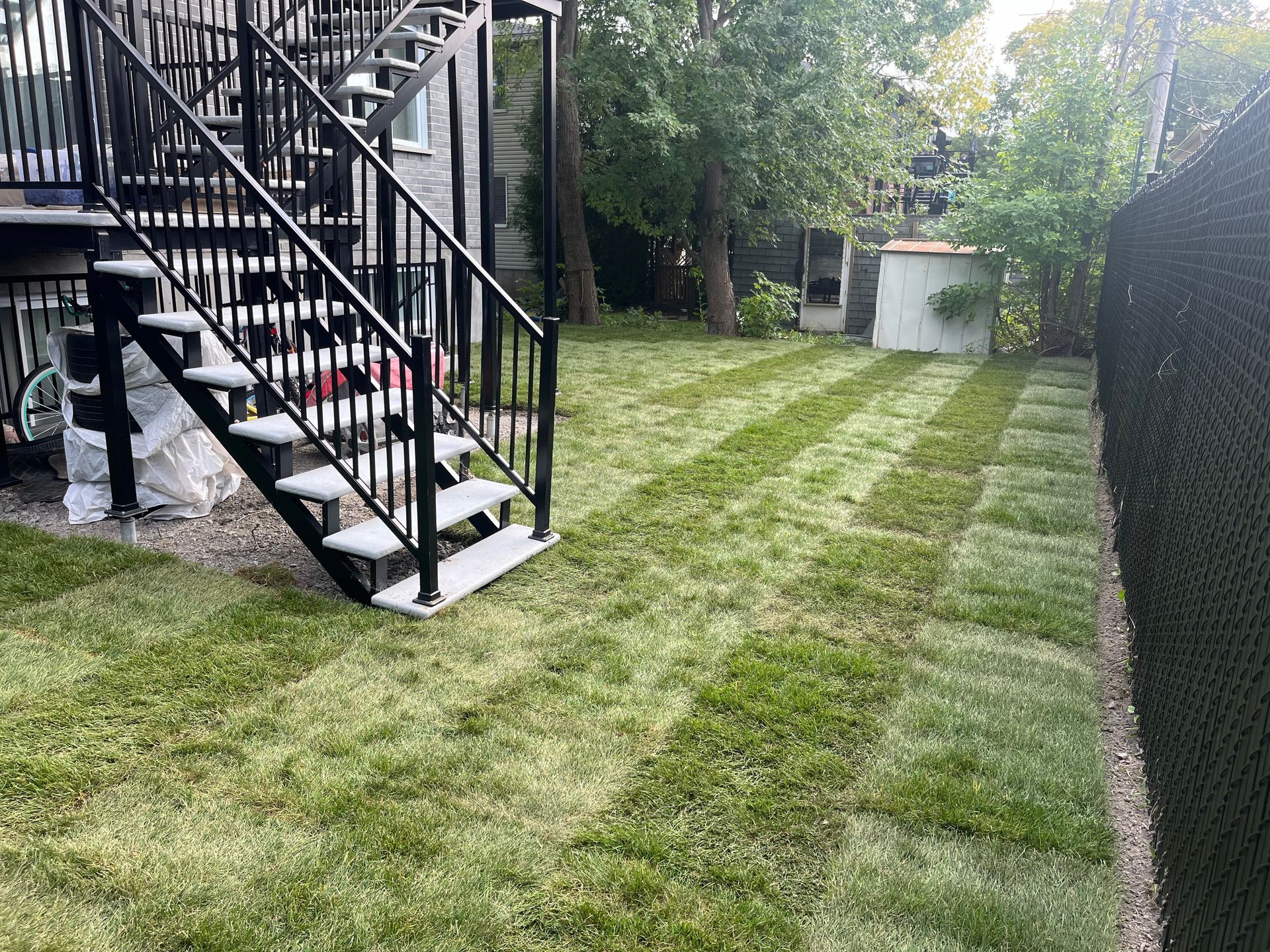 A backyard with stairs and a lush green lawn.