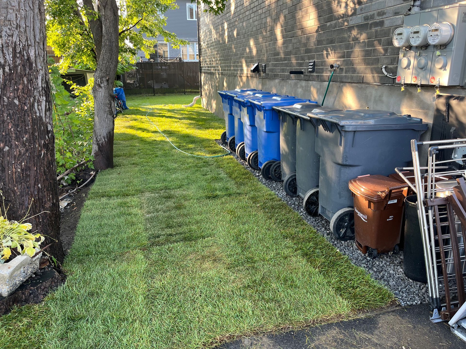 A row of trash cans are lined up in a yard.