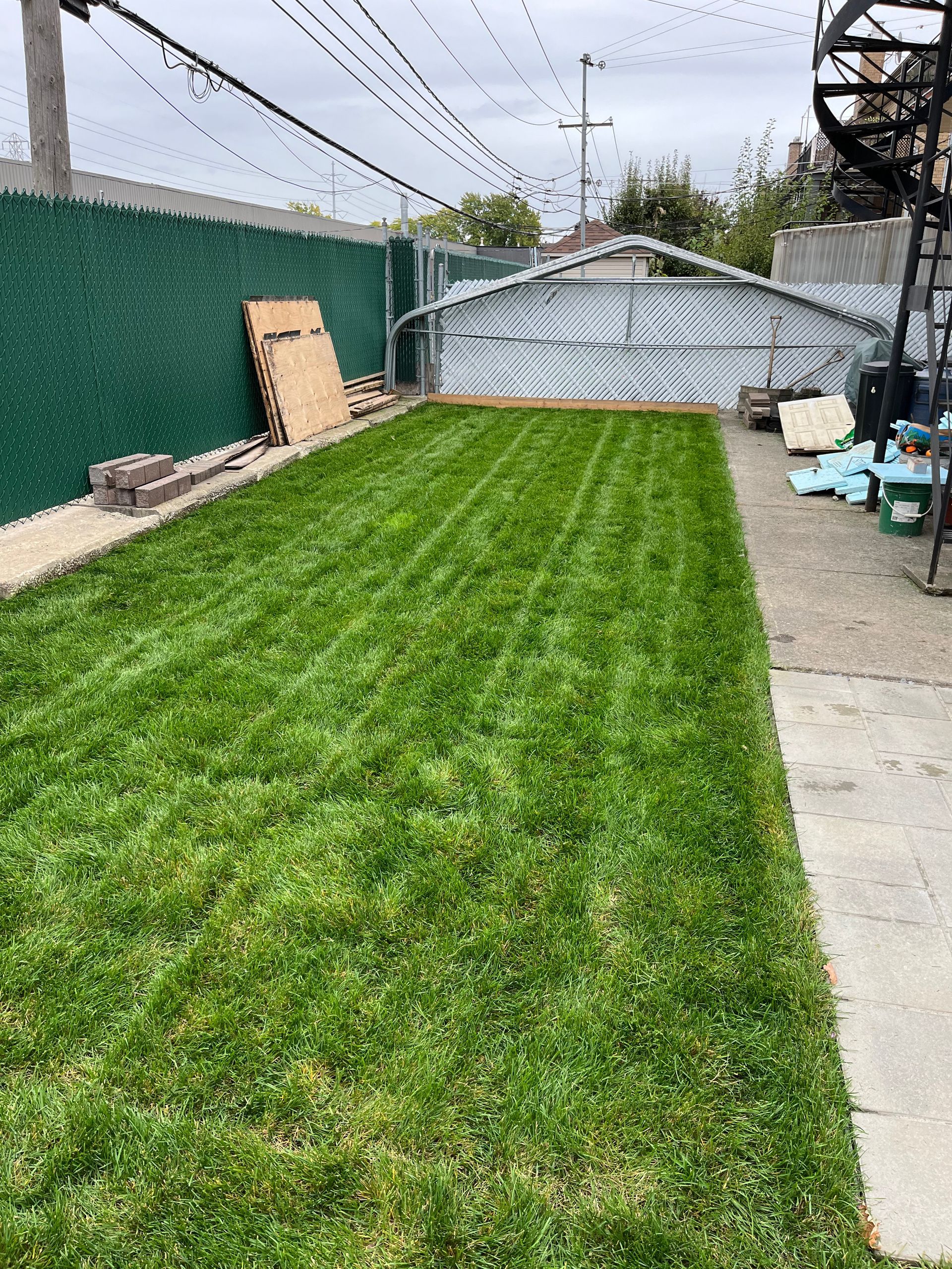 A lush green lawn with a chain link fence in the background.