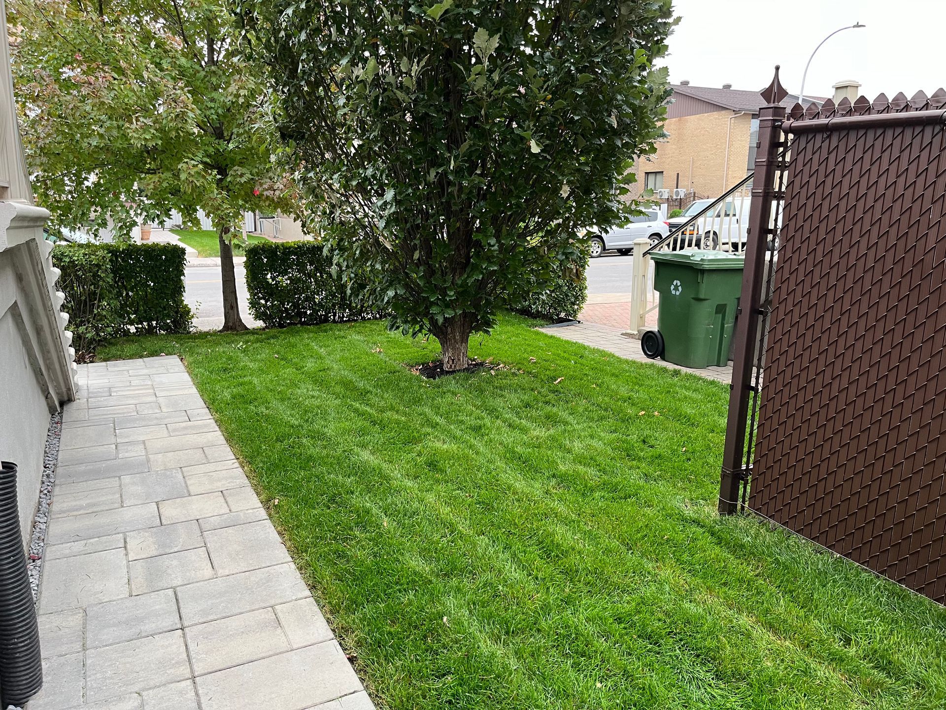 A sidewalk leading to a lush green yard with a tree and a trash can.