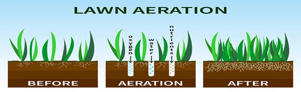 A diagram showing the process of lawn aeration