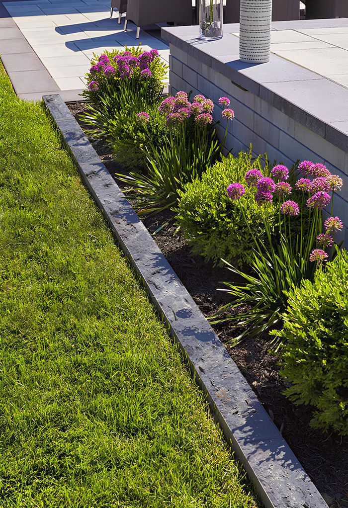 A lush green lawn with purple flowers in a garden