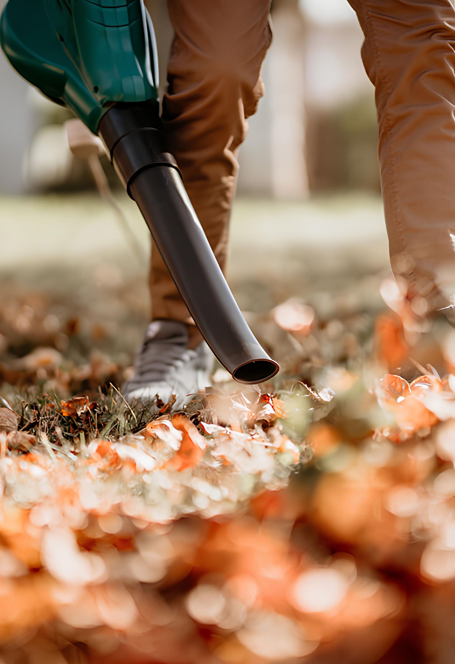 A person is blowing leaves with a leaf blower.