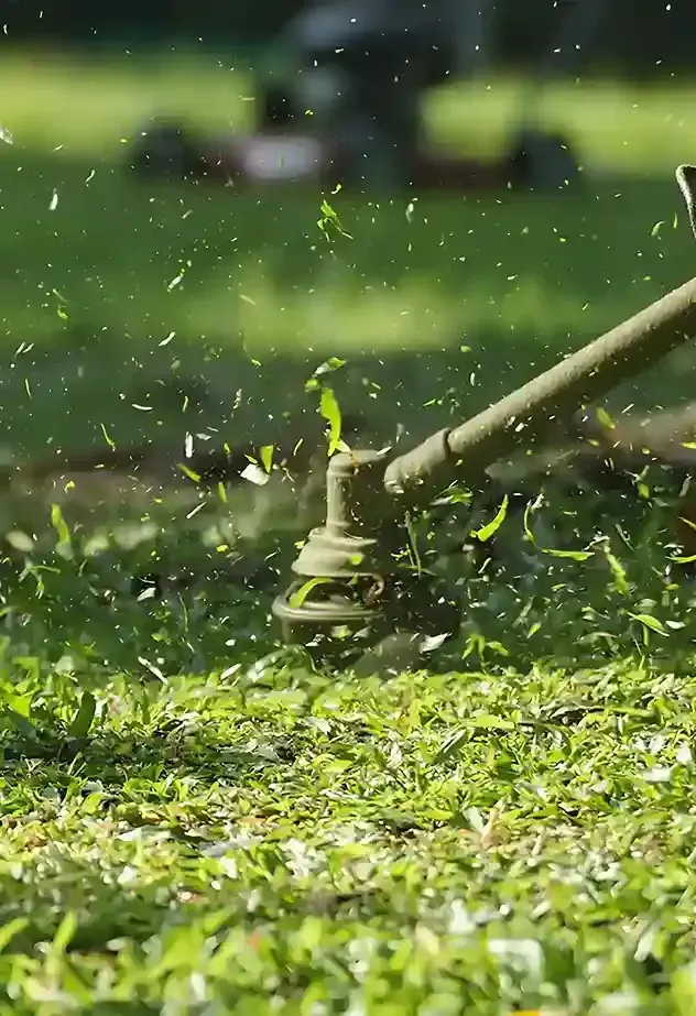 A person is using a lawn mower to cut the grass in a park.