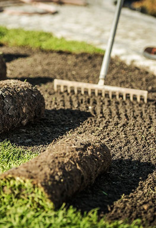 A rake is laying on top of a pile of grass.