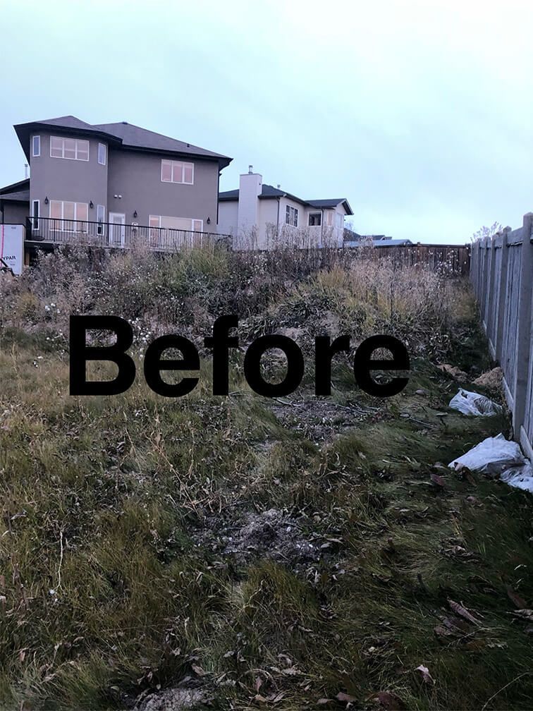 A picture of a yard with the word before written on it.
