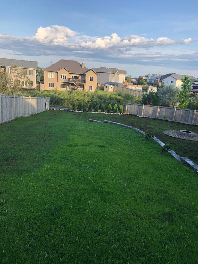 A large lush green yard with a fence and houses in the background.