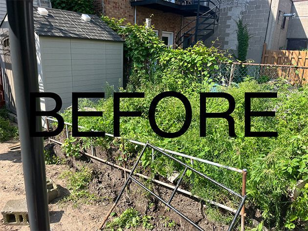 A picture of a garden with the word before written on it.