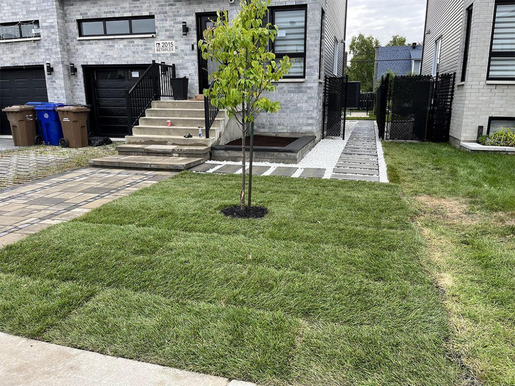 There is a tree in the middle of the lawn in front of a house.
