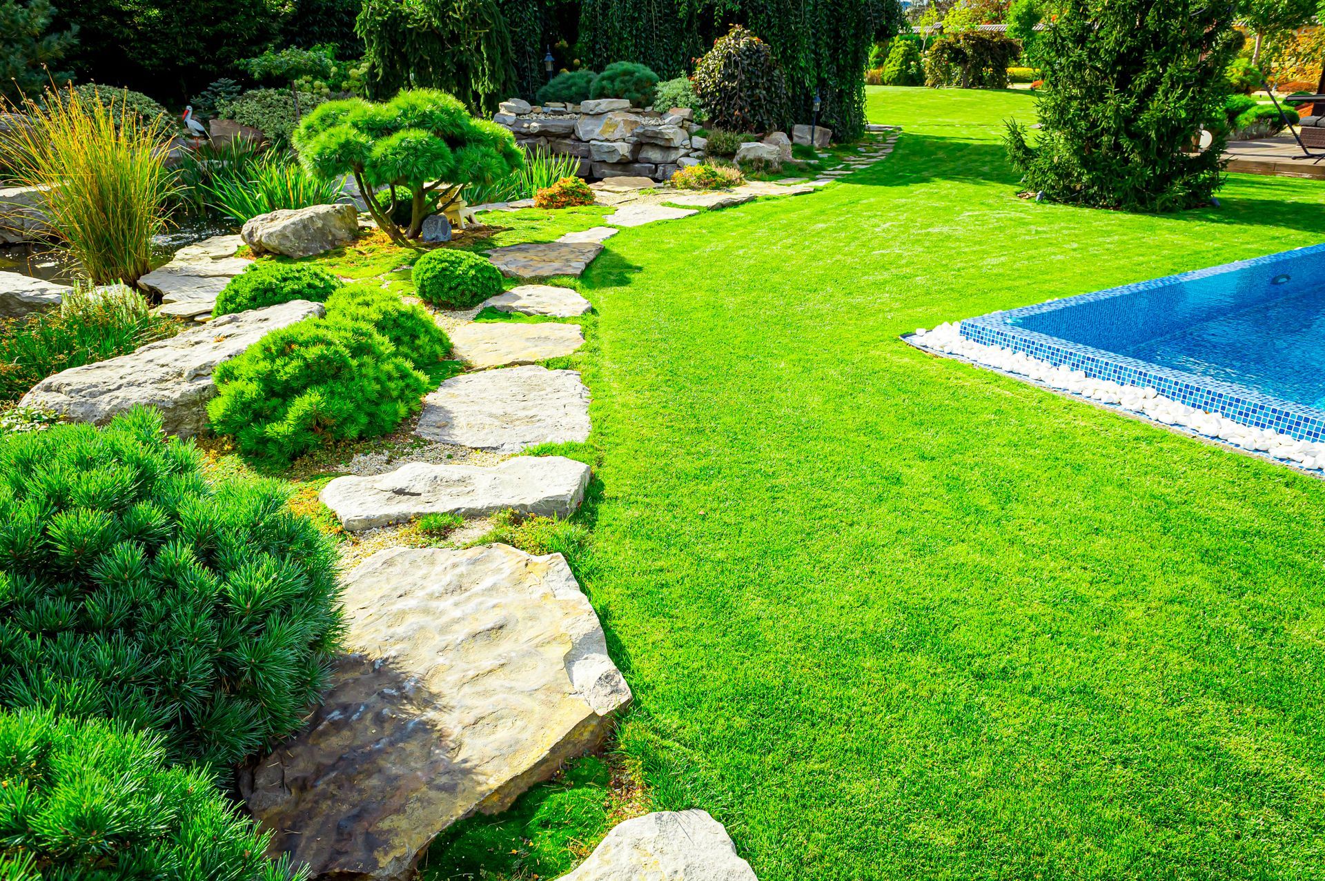 A lush green garden with a swimming pool in the background.