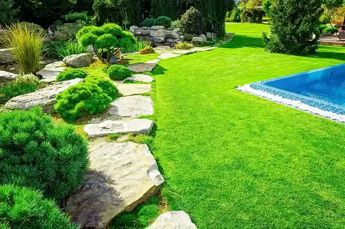 A lush green garden with a swimming pool in the background.