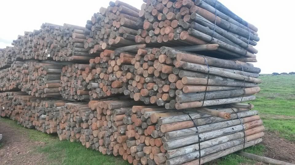 Bundles of trellis posts