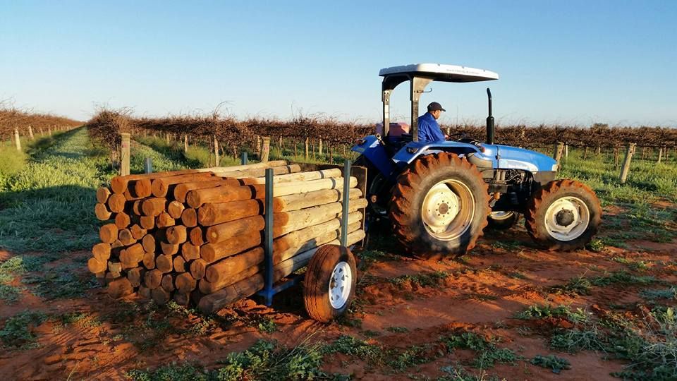 Meeting Your Trellis Post Requirements