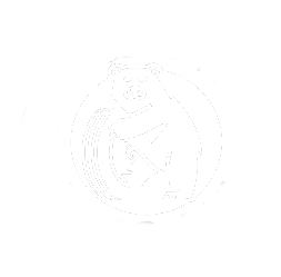 Polar Bear Auto Air logo