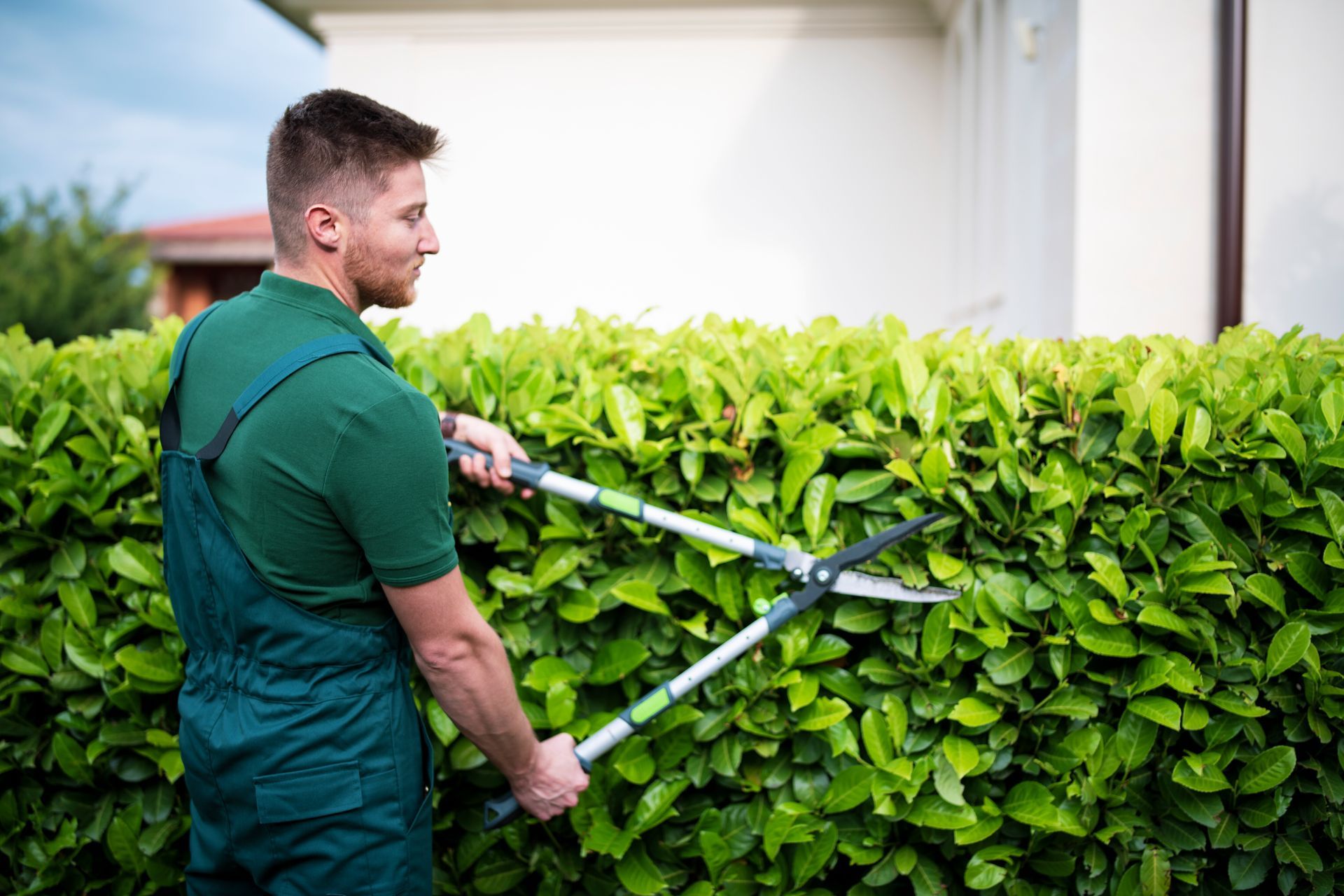 A commercial landscaper trimming hedges with precision, offering expert commercial tree services.