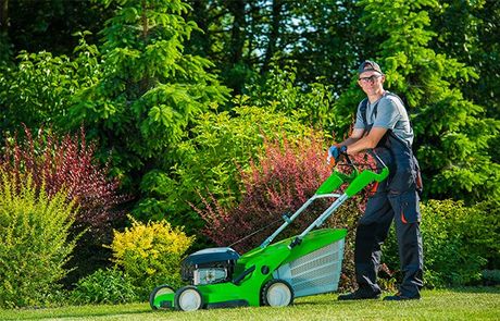 Professional Gardener with Lawn Mower — Roseville, MI — S & B Seasonal Services