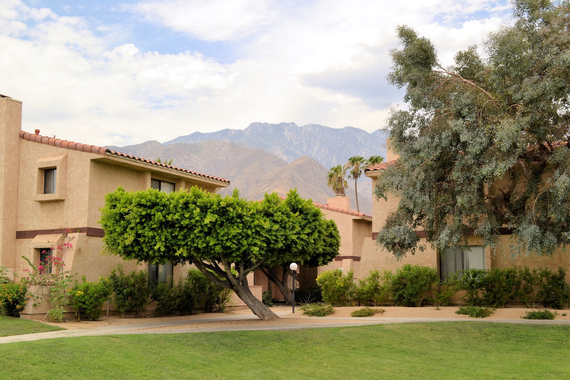 Parkwood Apartments complex with a tree in front of it and mountains in the background.