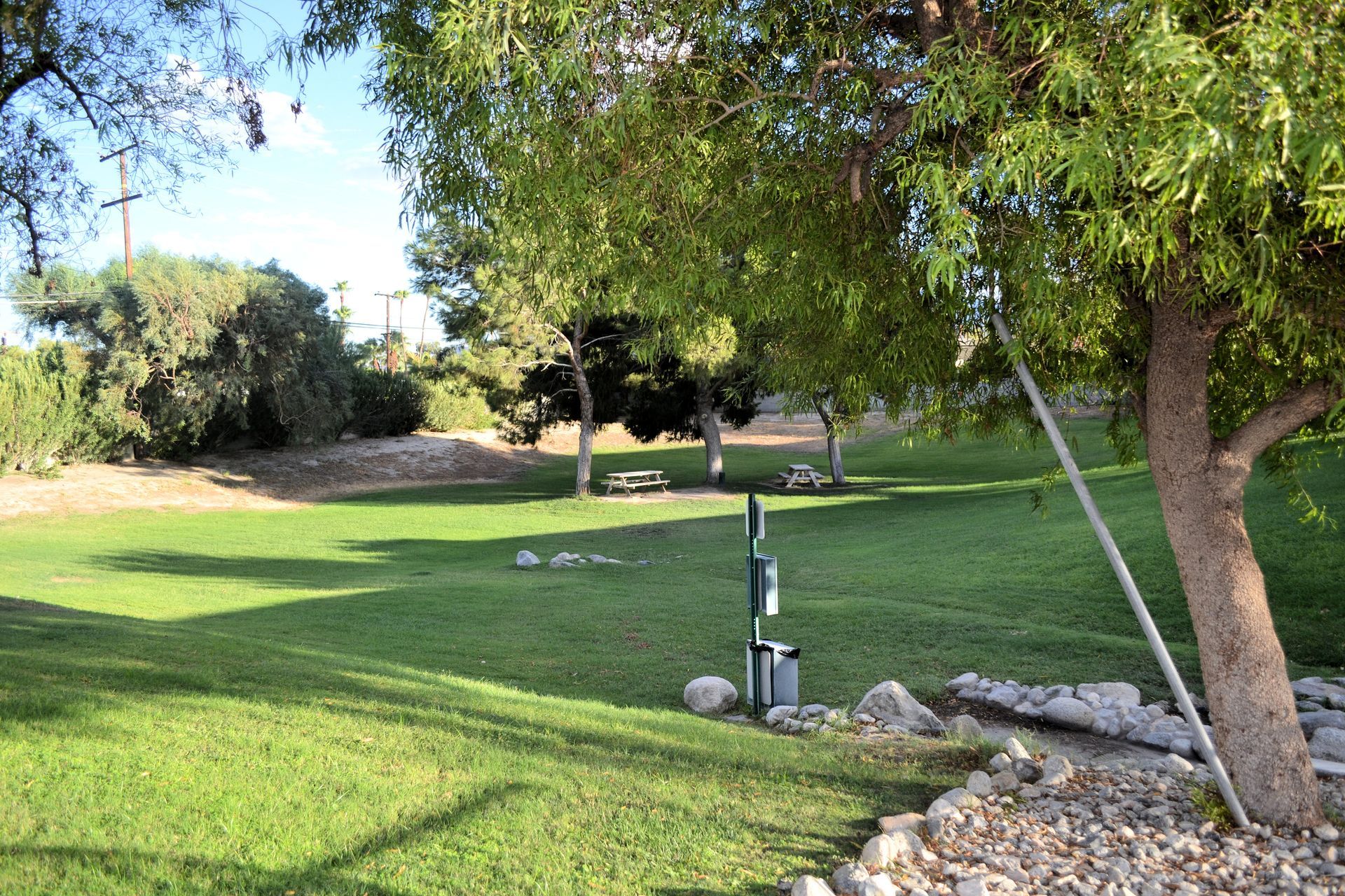 Large green space with a lot of trees