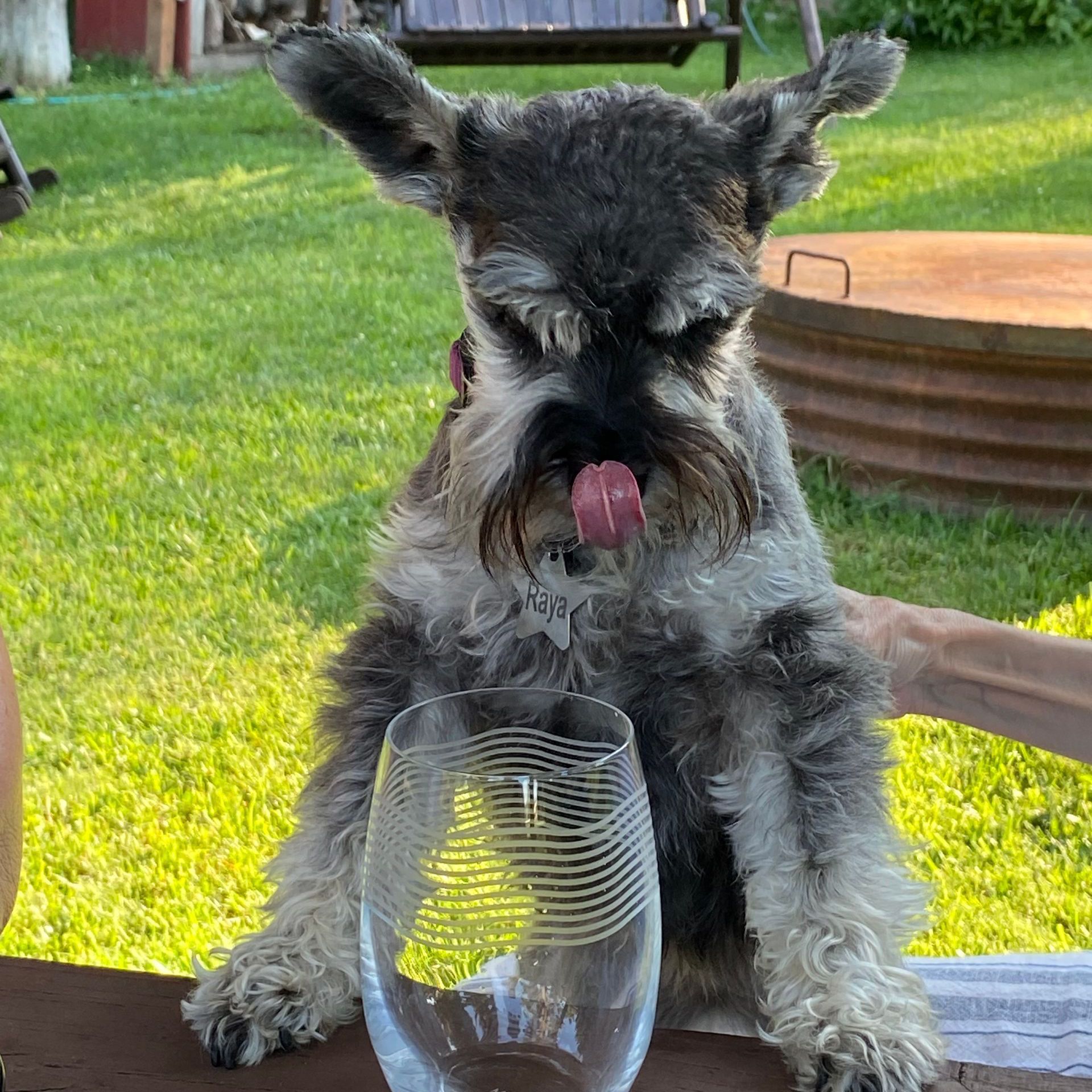 man-fishing-with-two-young-boys